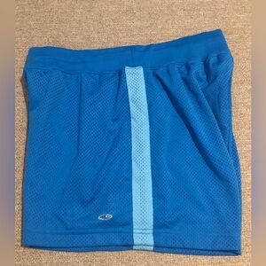 3 for $10 Champion Vintage Athletic Shorts Blue Small